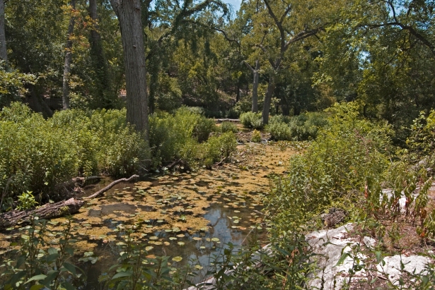 Gorman Creek